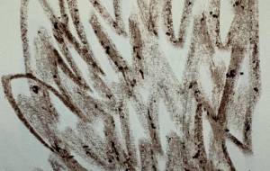 落書きクレヨン - 笹谷正博 