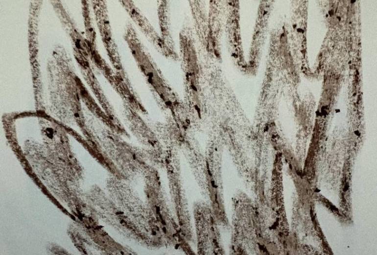 落書きクレヨン