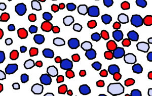 水玉 - さとう自動車 SAKURA