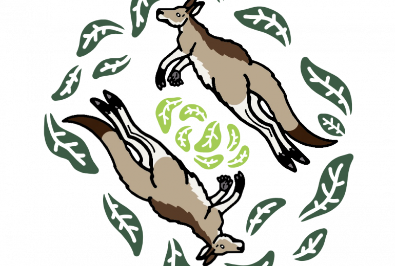 スペード　オオカンガルー