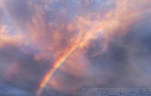 ナナイロ - 朝日奈 楓 