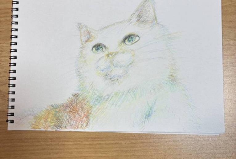 ねこねこ - 香織 