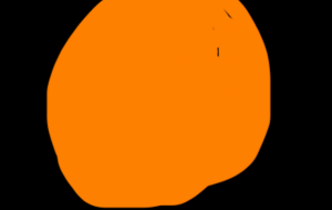 フルムーン - 笹谷正博