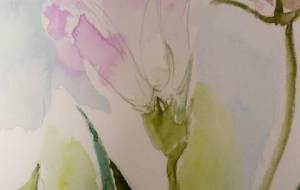 涼やかな風にふかれて…… - サオリ 