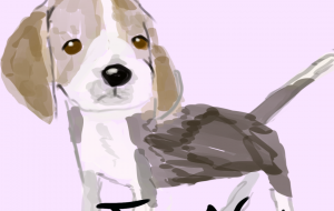 ピーグル - nao.k 