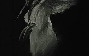 我が名は暗黒吸血堕天使帝王 蚊様だ！（例えば自然界の摂理それは無情） - 真鍋哲地 