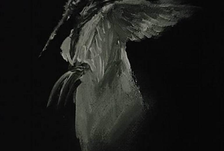 我が名は暗黒吸血堕天使帝王 蚊様だ！（例えば自然界の摂理それは無情）