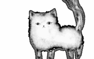 クロネコ - 河合光子 