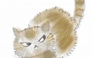 サビネコ - 河合光子 