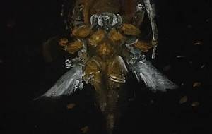 我が名は戦闘昆虫武神 阿修羅 - 真鍋哲地 