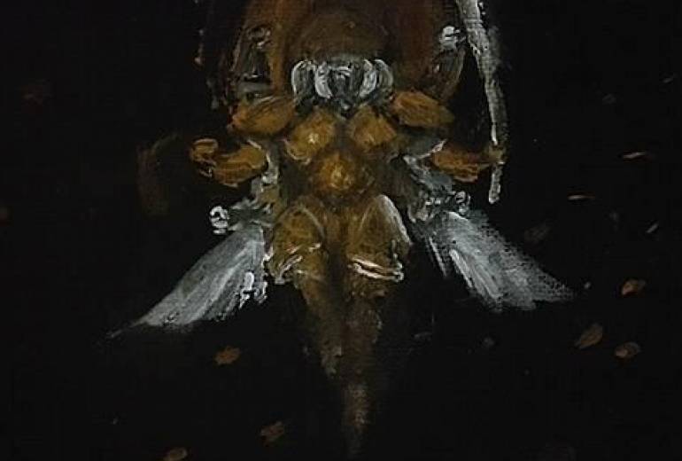 我が名は戦闘昆虫武神 阿修羅