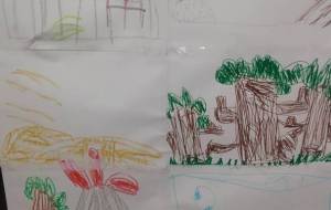 色々な自然２ - 矢嶋凌久 