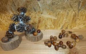 松ぼっくりの怪獣 - 矢嶋凌久 