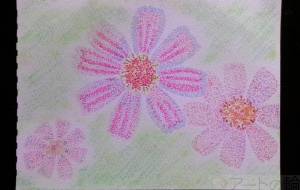 心の秋桜 - 明紅葉 