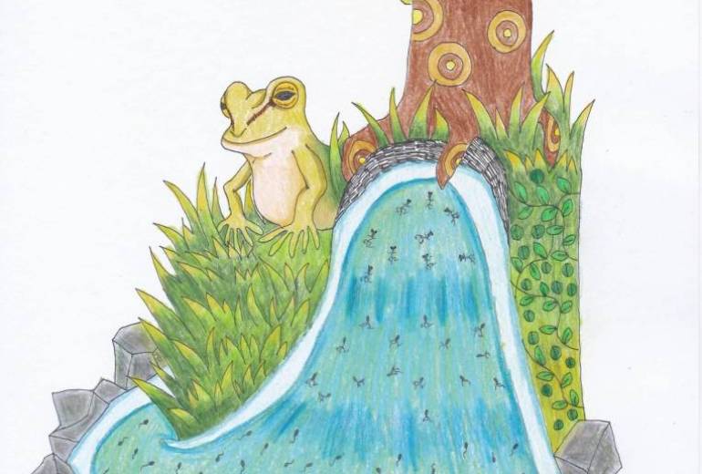 クラブ　カエルのせいちょう