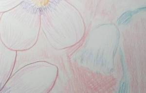 冬の花 - サオリ 