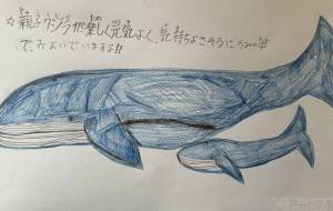 クジラの親子 - TETSUKO.K