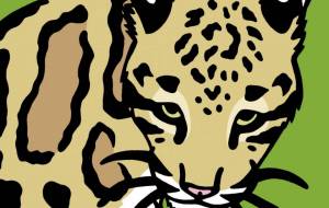 ウンピョウ - シマハイエナ 