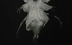 昆虫愛天使(全ての地球上の生物を救う昆虫愛天使!) - 真鍋哲地