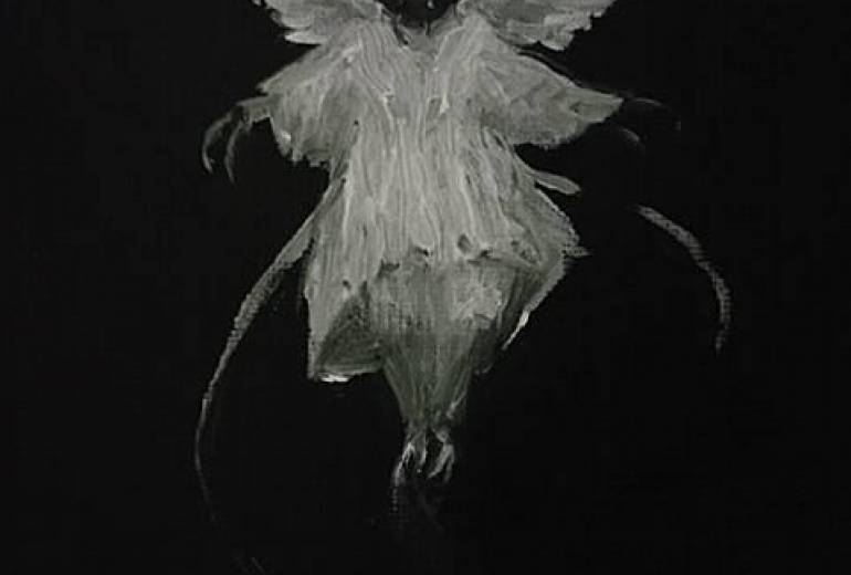 昆虫愛天使(全ての地球上の生物を救う昆虫愛天使!)