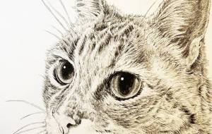 存じております - 山田貴裕 