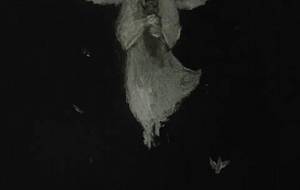 尊い鬼天使母さん（母さん空を自由に） - 真鍋哲地 