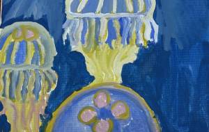 クラゲ - 佐藤彩華