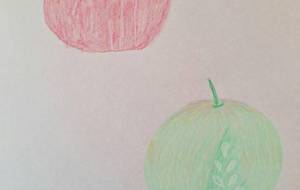 りんごの命 - 宇宙水晶