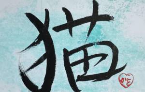 猫 - 壽香ーことかー 