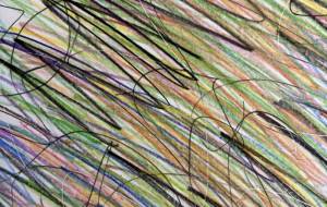 アール・ブリュット挑戦 - 笹谷正博 