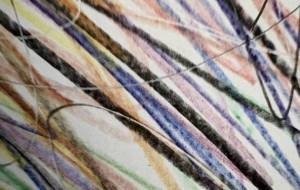 アール・ブリュット挑戦 - 笹谷正博 