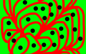 アール・ブリュット挑戦 - 笹谷正博 