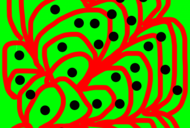 アール・ブリュット挑戦