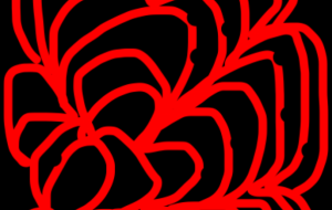 アール・ブリュット挑戦 - 笹谷正博 