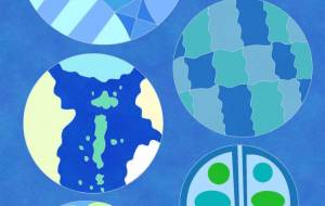 青の星 - 夏野雨