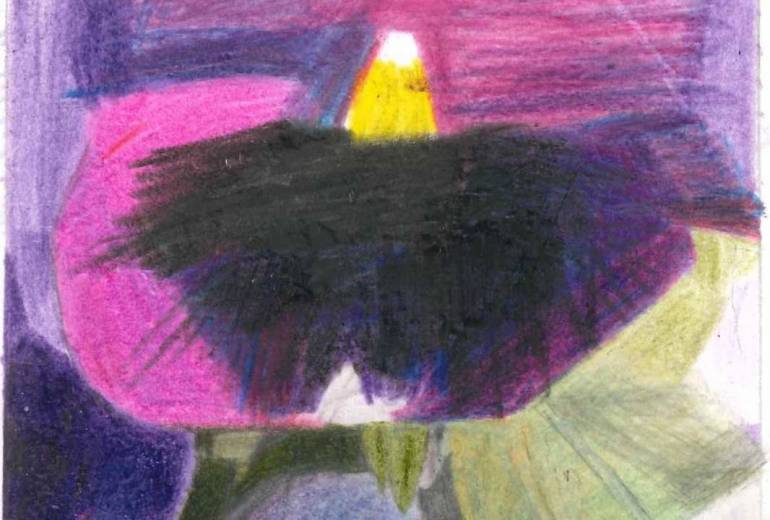 ハート　パンジー