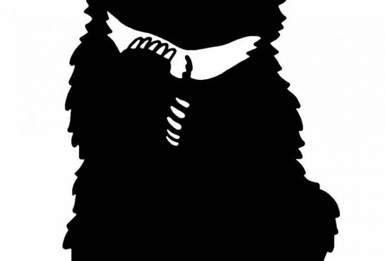 ヒマラヤツキノワグマ