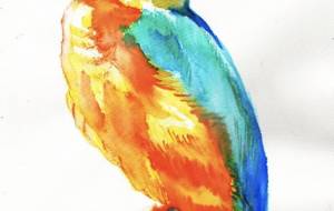 ダイヤ　カワセミ - 【イベント】Challenged Artist Project【2025】 