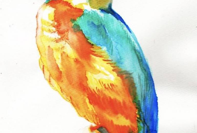 ダイヤ　カワセミ