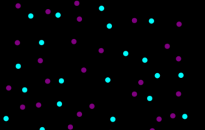 夜空 - 笹谷正博