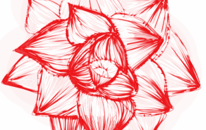 薔薇 - 河合光子