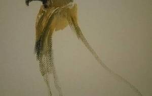 鷹帝国大将（大自然界戦い） - 真鍋哲地 