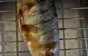 塩サバ焼きました - 笹谷正博 