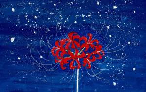 夜空の彼岸花 - 赤﨑ゆみ子