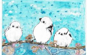 シマエナガ - HIDE