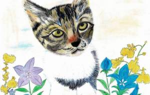 猫とりんどう - 赤﨑ゆみ子 