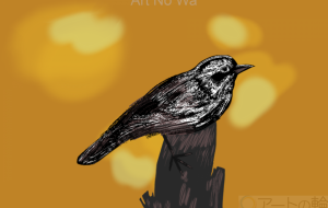 The Stray Bird - Yuri