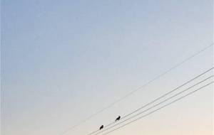 二人ぼっち、久しぶり写真作品、 - 真鍋哲地 