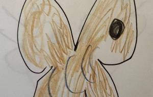 アール・ブリュット挑戦 - 笹谷正博