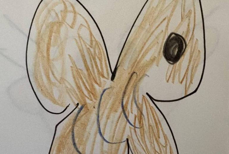 アール・ブリュット挑戦